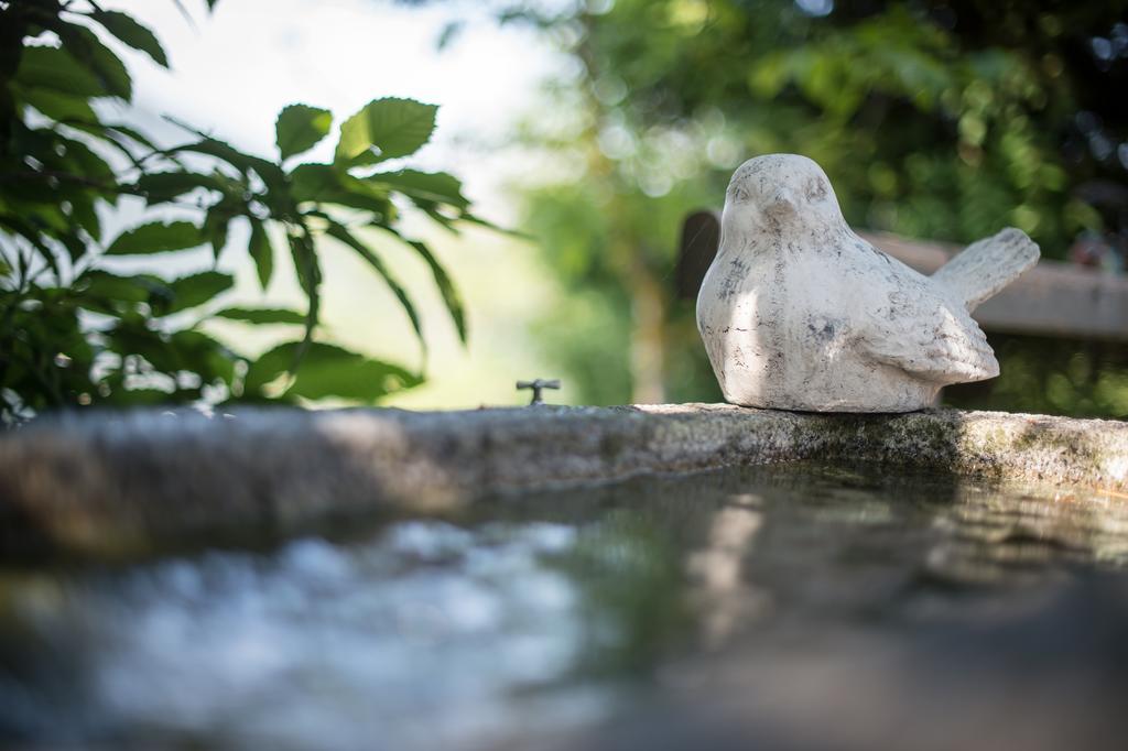 Ferienwohnungen Sumperer Pill Esterno foto